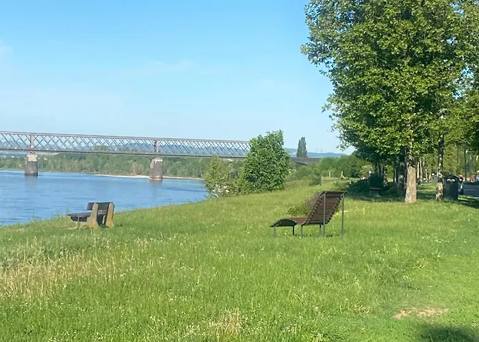 公寓 Schmidt Am Rhein