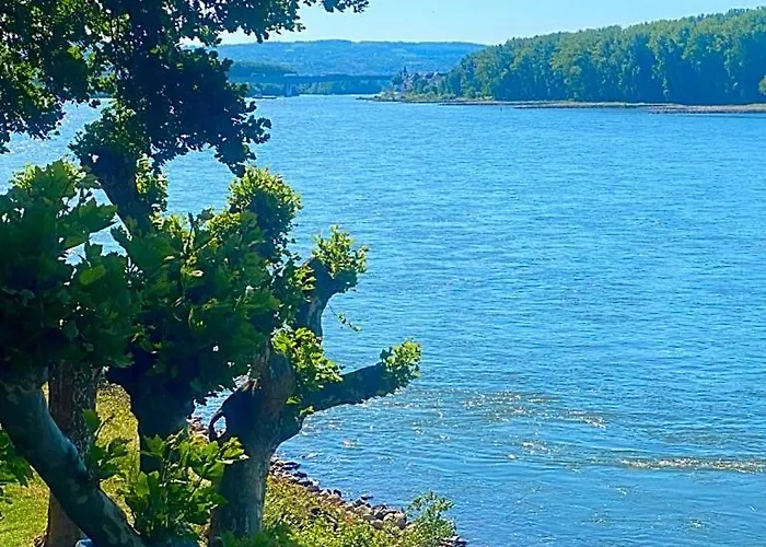 דירה Schmidt Am Rhein נויוויד